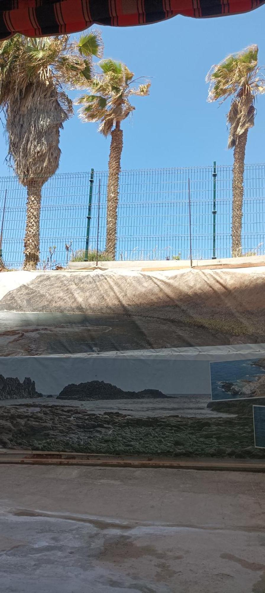 Beautiful Beach Corner Santa Cruz de Tenerife Exterior foto